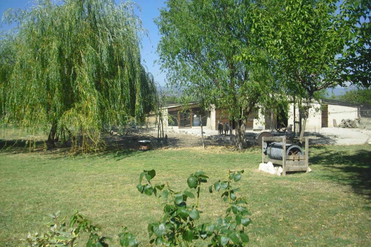 Lou Mas Li Pitchoun "L'Olivade" Gordes Exterior foto