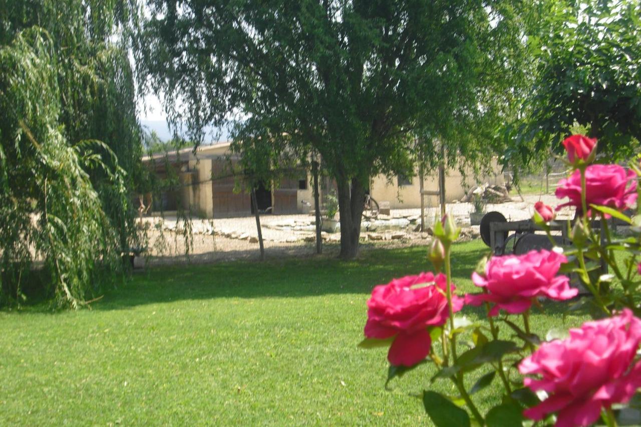 Lou Mas Li Pitchoun "L'Olivade" Gordes Exterior foto