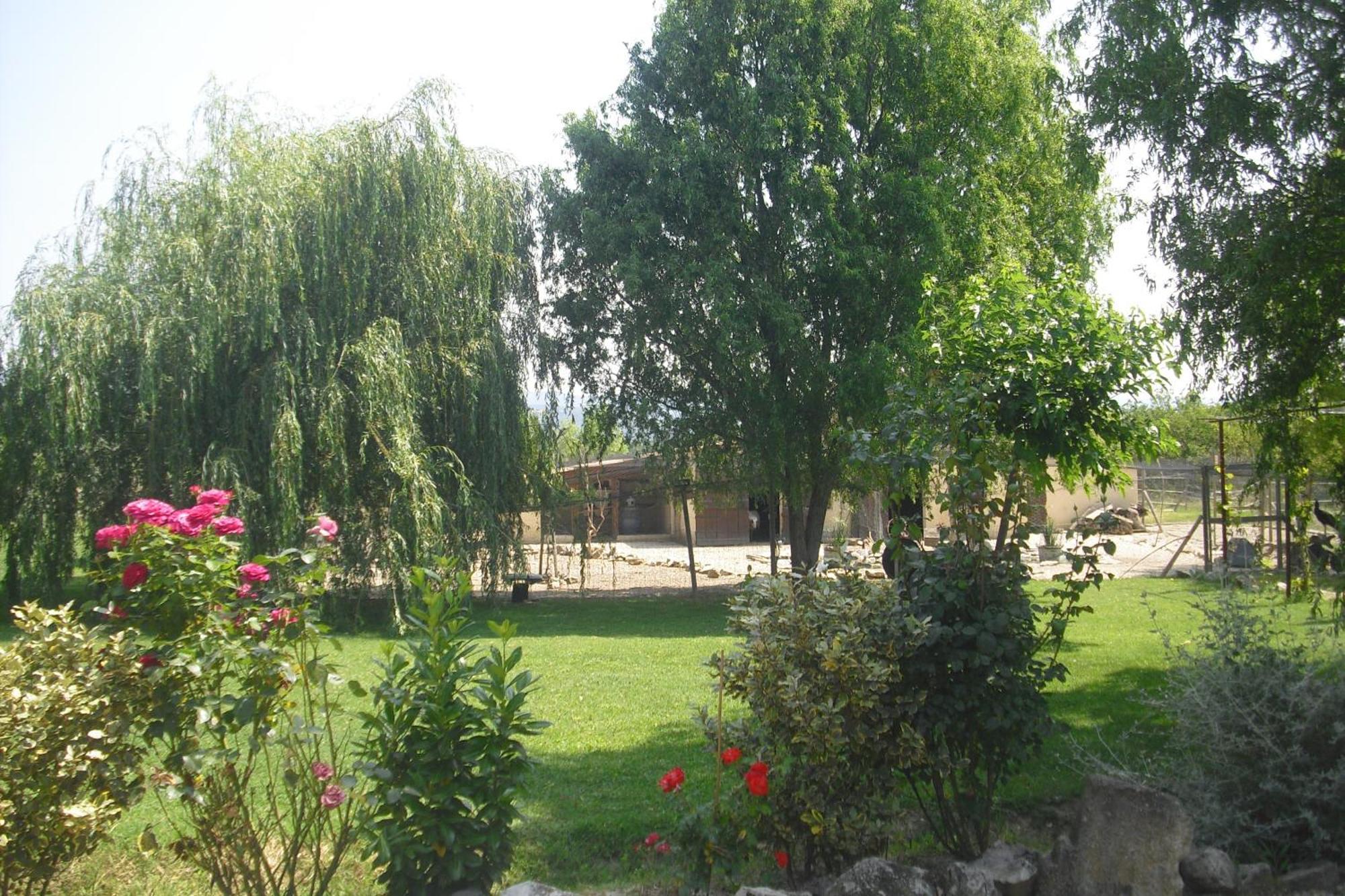 Lou Mas Li Pitchoun "L'Olivade" Gordes Exterior foto