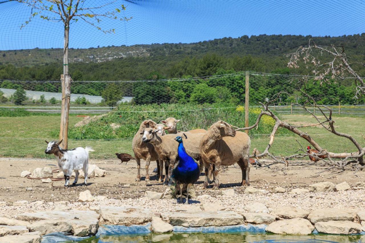 Lou Mas Li Pitchoun "L'Olivade" Gordes Exterior foto